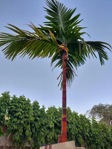 Garden Area